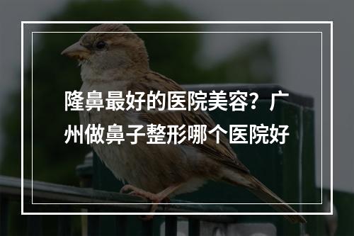 隆鼻最好的医院美容？广州做鼻子整形哪个医院好