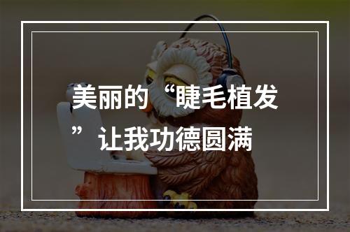 美丽的“睫毛植发”让我功德圆满