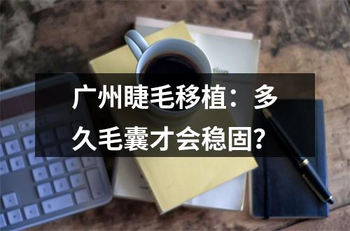 广州睫毛移植：多久毛囊才会稳固？