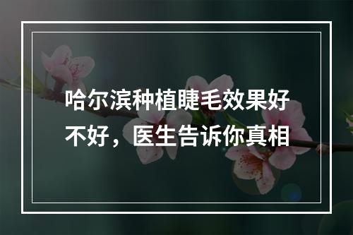 哈尔滨种植睫毛效果好不好，医生告诉你真相