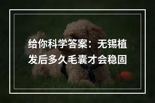 给你科学答案：无锡植发后多久毛囊才会稳固