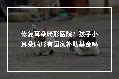 修复耳朵畸形医院？孩子小耳朵畸形有国家补助基金吗