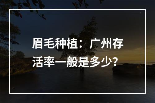 眉毛种植：广州存活率一般是多少？