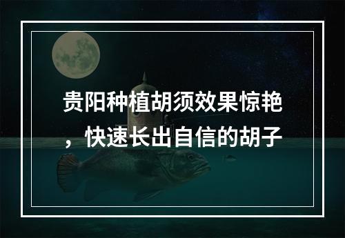 贵阳种植胡须效果惊艳，快速长出自信的胡子