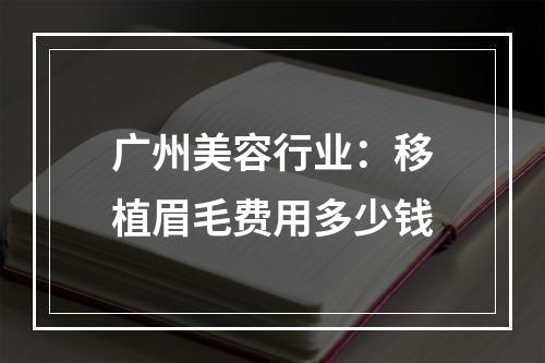 广州美容行业：移植眉毛费用多少钱