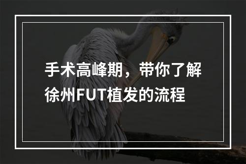 手术高峰期，带你了解徐州FUT植发的流程