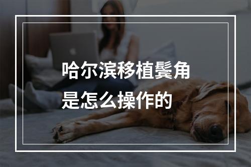 哈尔滨移植鬓角是怎么操作的