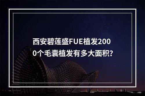 西安碧莲盛FUE植发2000个毛囊植发有多大面积？