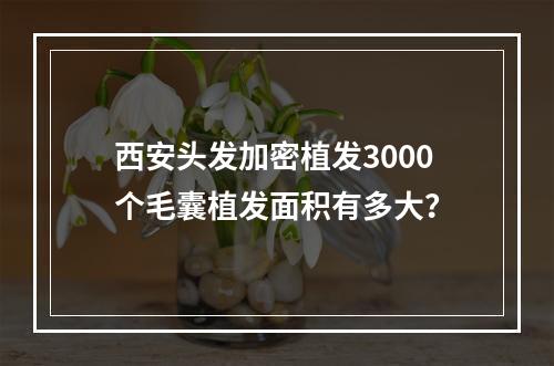 西安头发加密植发3000个毛囊植发面积有多大？