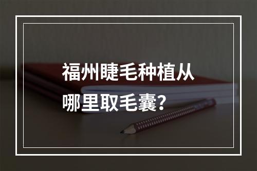 福州睫毛种植从哪里取毛囊？