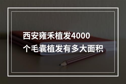 西安雍禾植发4000个毛囊植发有多大面积