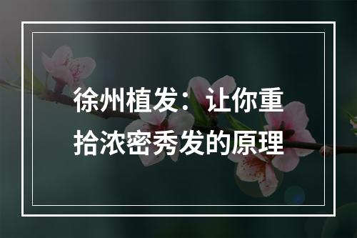 徐州植发：让你重拾浓密秀发的原理