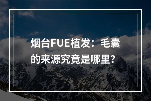 烟台FUE植发：毛囊的来源究竟是哪里？