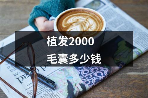 植发2000毛囊多少钱