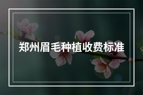 郑州眉毛种植收费标准