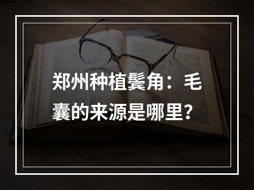 郑州种植鬓角：毛囊的来源是哪里？