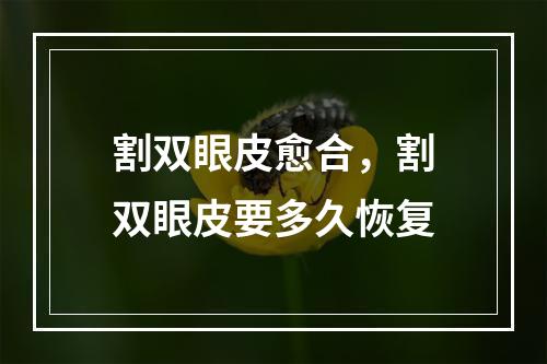 割双眼皮愈合，割双眼皮要多久恢复