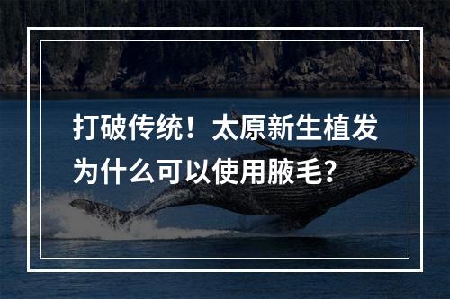 打破传统！太原新生植发为什么可以使用腋毛？