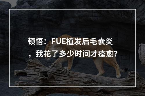 顿悟：FUE植发后毛囊炎，我花了多少时间才痊愈？