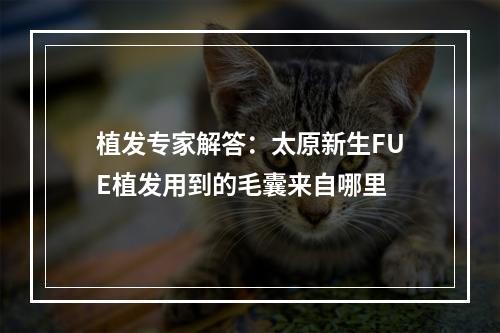 植发专家解答：太原新生FUE植发用到的毛囊来自哪里