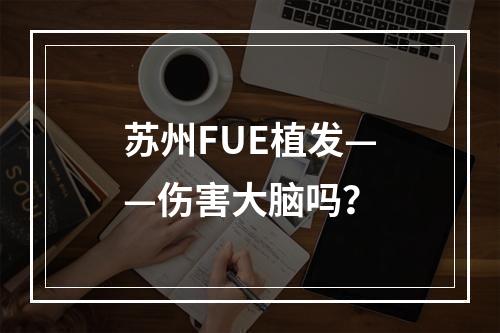 苏州FUE植发——伤害大脑吗？