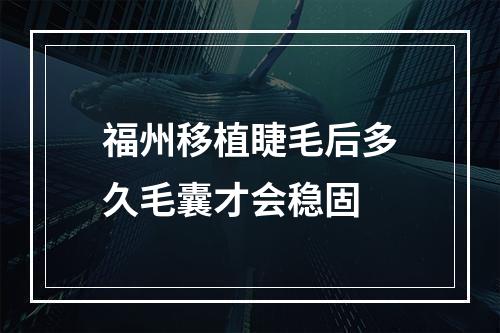 福州移植睫毛后多久毛囊才会稳固