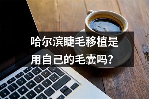 哈尔滨睫毛移植是用自己的毛囊吗？