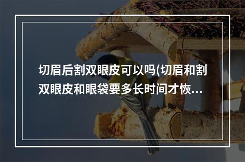 切眉后割双眼皮可以吗(切眉和割双眼皮和眼袋要多长时间才恢复)