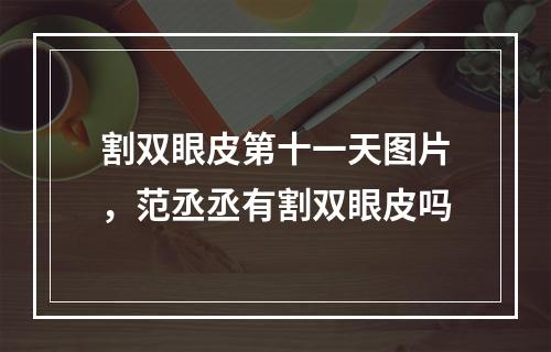 割双眼皮第十一天图片，范丞丞有割双眼皮吗