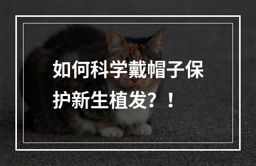 如何科学戴帽子保护新生植发？！