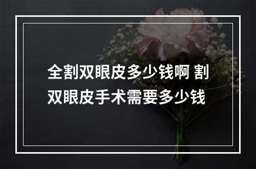 全割双眼皮多少钱啊 割双眼皮手术需要多少钱