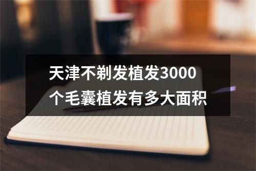 天津不剃发植发3000个毛囊植发有多大面积