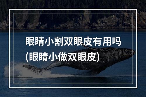 眼睛小割双眼皮有用吗(眼睛小做双眼皮)