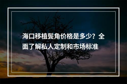 海口移植鬓角价格是多少？全面了解私人定制和市场标准