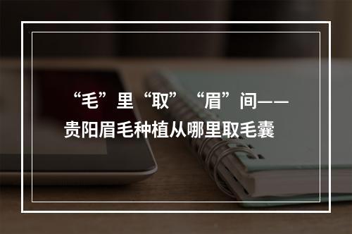 “毛”里“取”“眉”间——贵阳眉毛种植从哪里取毛囊