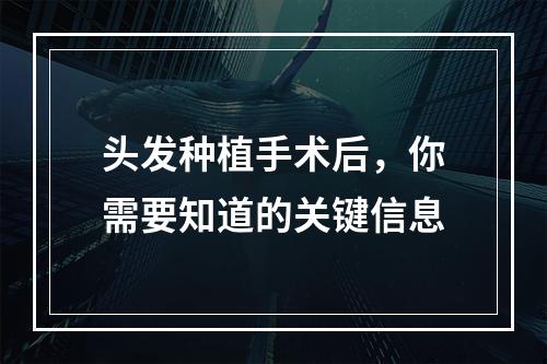 头发种植手术后，你需要知道的关键信息