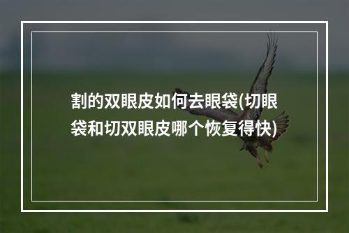 割的双眼皮如何去眼袋(切眼袋和切双眼皮哪个恢复得快)