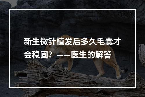 新生微针植发后多久毛囊才会稳固？——医生的解答