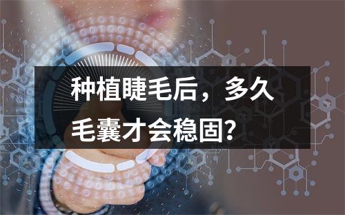 种植睫毛后，多久毛囊才会稳固？