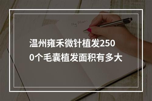 温州雍禾微针植发2500个毛囊植发面积有多大