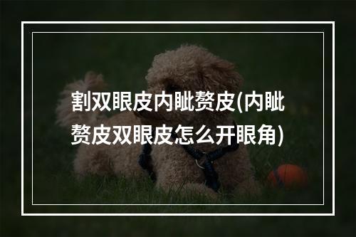 割双眼皮内眦赘皮(内眦赘皮双眼皮怎么开眼角)