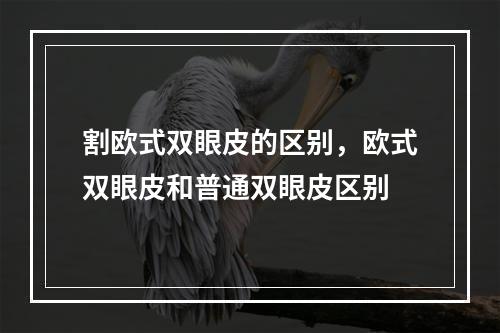 割欧式双眼皮的区别，欧式双眼皮和普通双眼皮区别