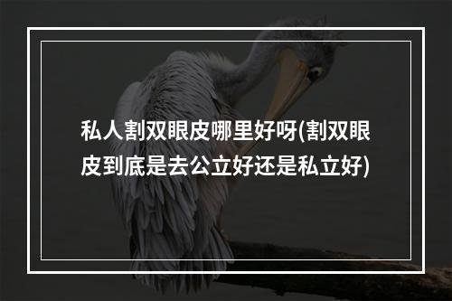 私人割双眼皮哪里好呀(割双眼皮到底是去公立好还是私立好)