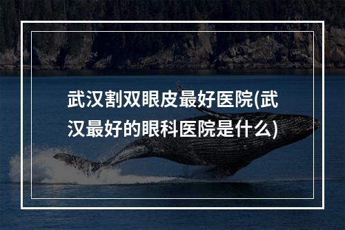 武汉割双眼皮最好医院(武汉最好的眼科医院是什么)