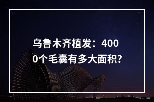 乌鲁木齐植发：4000个毛囊有多大面积？