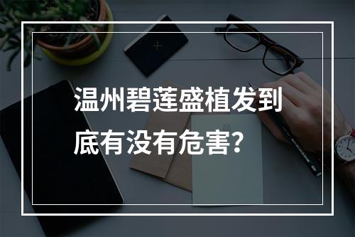 温州碧莲盛植发到底有没有危害？