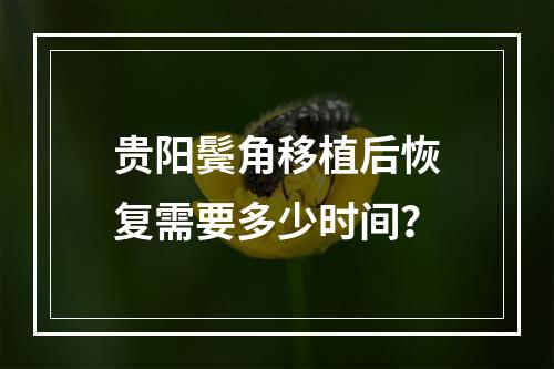 贵阳鬓角移植后恢复需要多少时间？