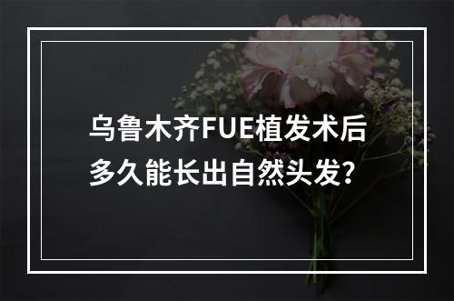 乌鲁木齐FUE植发术后多久能长出自然头发？