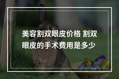 美容割双眼皮价格 割双眼皮的手术费用是多少