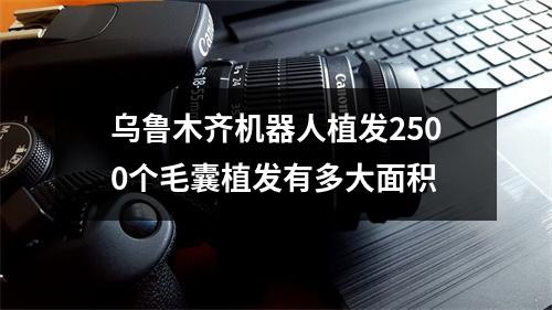 乌鲁木齐机器人植发2500个毛囊植发有多大面积